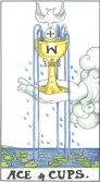 Begrenes ess- Ace of Cups
